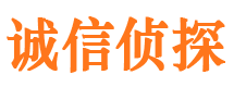 桐乡市调查公司